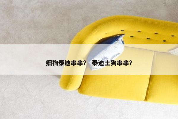 细狗泰迪串串？ 泰迪土狗串串？