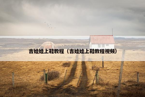 吉娃娃上鞋教程（吉娃娃上鞋教程视频）