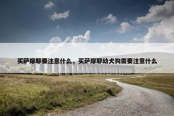 买萨摩耶要注意什么，买萨摩耶幼犬狗需要注意什么