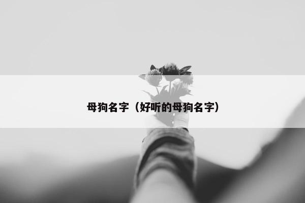 母狗名字（好听的母狗名字）