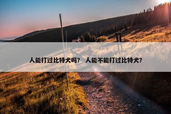 人能打过比特犬吗？ 人能不能打过比特犬？