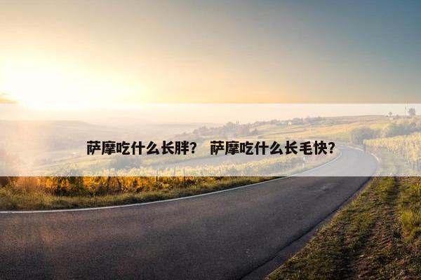 萨摩吃什么长胖？ 萨摩吃什么长毛快？
