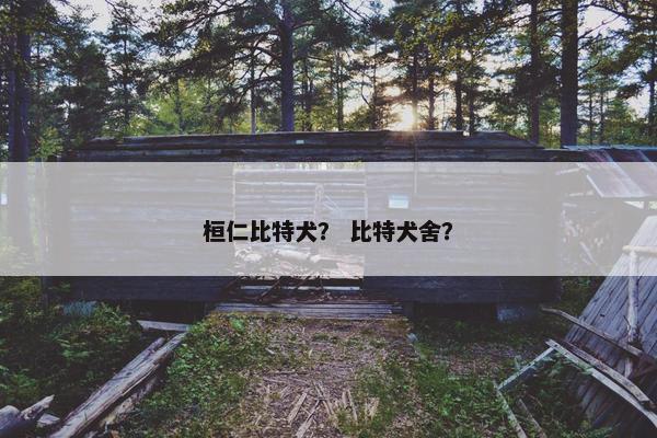 桓仁比特犬？ 比特犬舍？