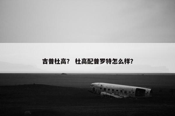 吉普杜高？ 杜高配普罗特怎么样？