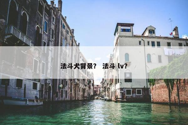 法斗犬背景？ 法斗 lv？