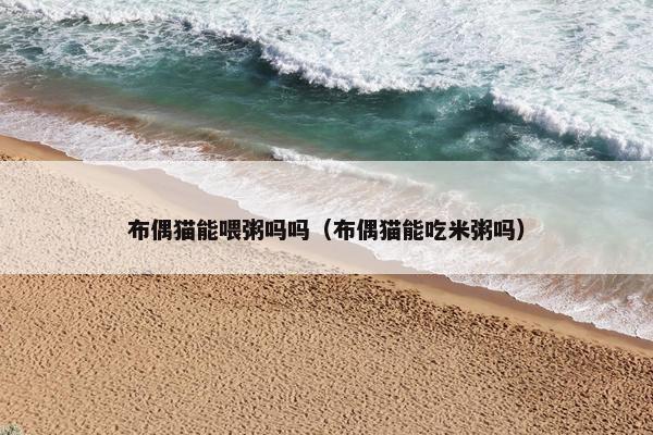 布偶猫能喂粥吗吗（布偶猫能吃米粥吗）