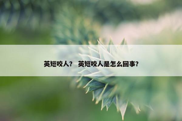 英短咬人？ 英短咬人是怎么回事？