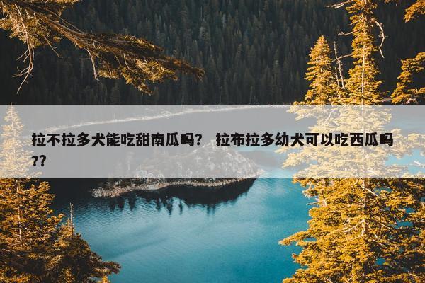拉不拉多犬能吃甜南瓜吗？ 拉布拉多幼犬可以吃西瓜吗?？