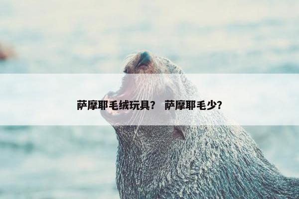 萨摩耶毛绒玩具？ 萨摩耶毛少？