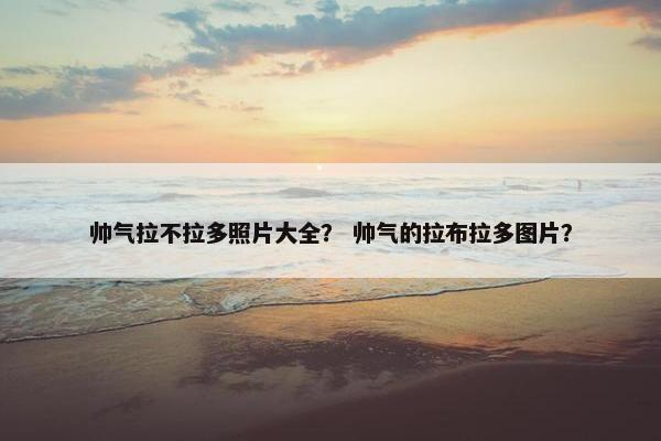 帅气拉不拉多照片大全？ 帅气的拉布拉多图片？