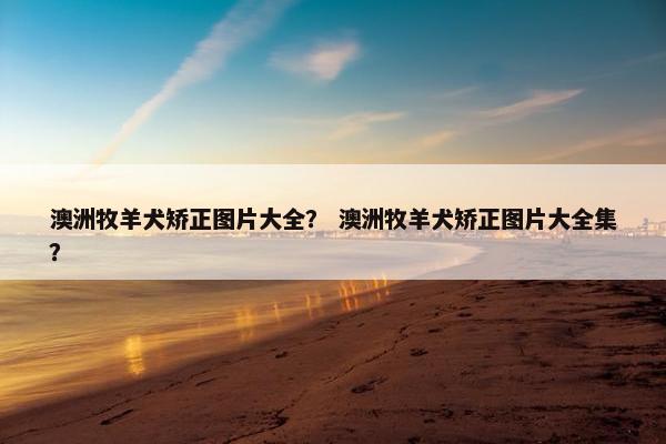 澳洲牧羊犬矫正图片大全？ 澳洲牧羊犬矫正图片大全集？