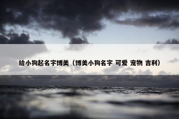 给小狗起名字博美（博美小狗名字 可爱 宠物 吉利）