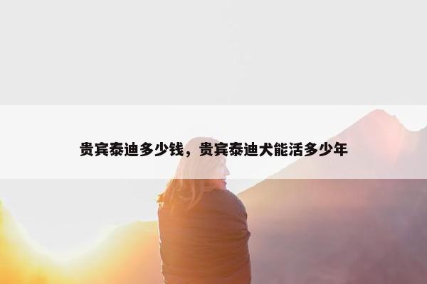 贵宾泰迪多少钱，贵宾泰迪犬能活多少年