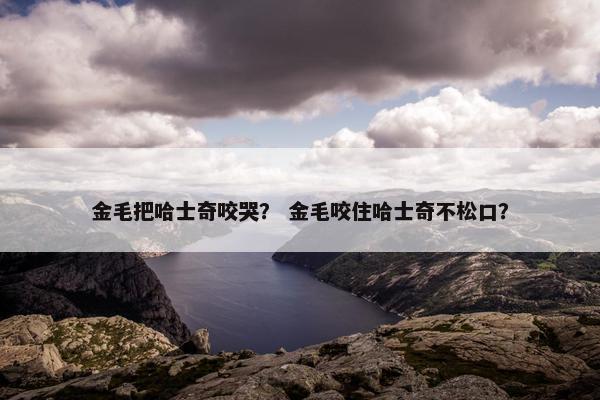 金毛把哈士奇咬哭？ 金毛咬住哈士奇不松口？