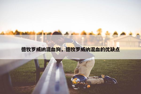 德牧罗威纳混血狗，德牧罗威纳混血的优缺点