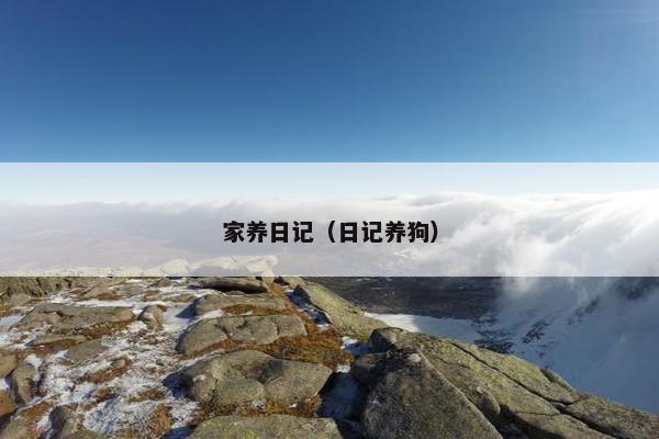 家养日记（日记养狗）