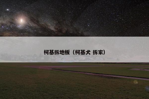 柯基拆地板（柯基犬 拆家）