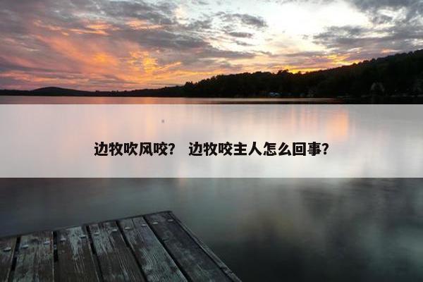 边牧吹风咬？ 边牧咬主人怎么回事？