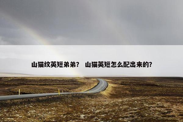 山猫纹英短弟弟？ 山猫英短怎么配出来的？