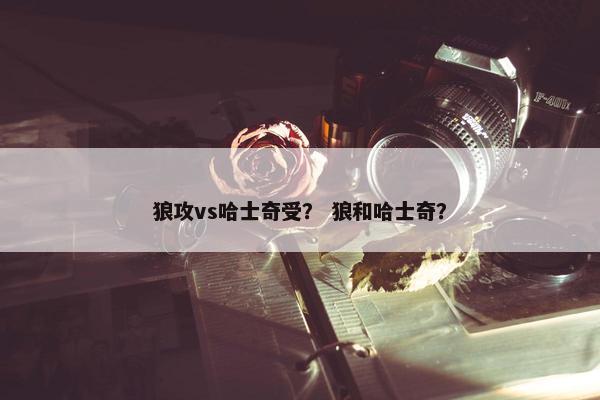 狼攻vs哈士奇受？ 狼和哈士奇？