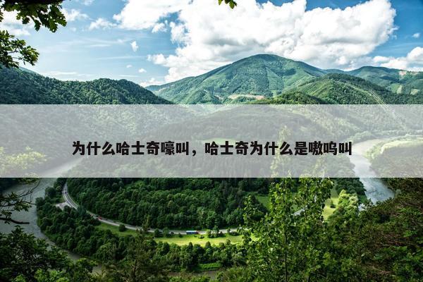 为什么哈士奇嚎叫，哈士奇为什么是嗷呜叫
