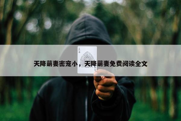 天降萌妻密宠小，天降萌妻免费阅读全文