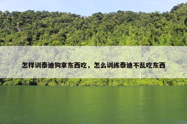 怎样训泰迪狗拿东西吃，怎么训练泰迪不乱吃东西