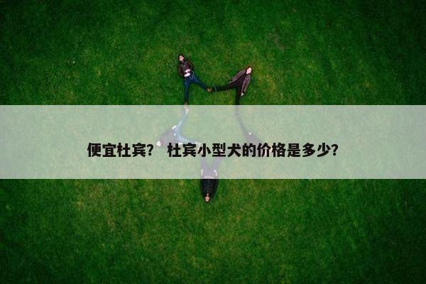 便宜杜宾？ 杜宾小型犬的价格是多少？