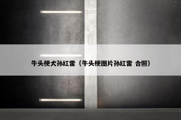 牛头梗犬孙红雷（牛头梗图片孙红雷 合照）