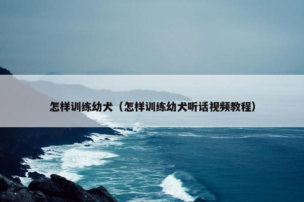 怎样训练幼犬（怎样训练幼犬听话视频教程）