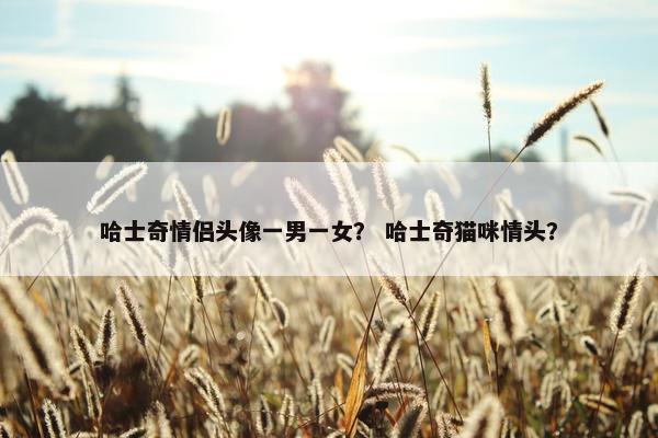 哈士奇情侣头像一男一女？ 哈士奇猫咪情头？
