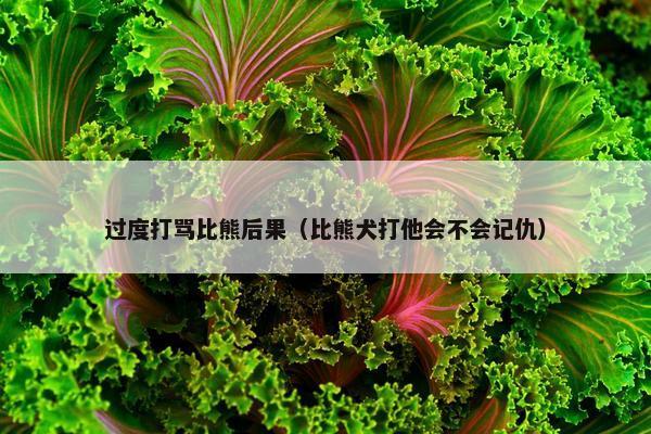 过度打骂比熊后果（比熊犬打他会不会记仇）