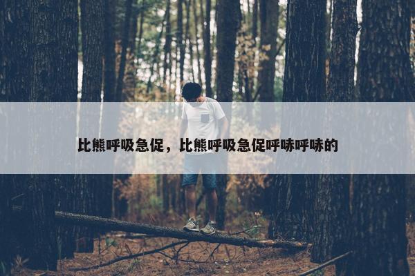 比熊呼吸急促，比熊呼吸急促呼哧呼哧的