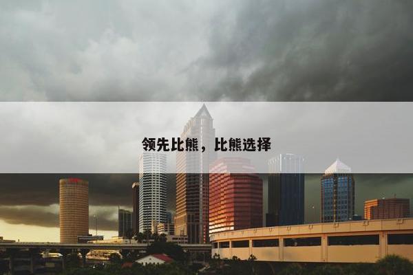 领先比熊，比熊选择