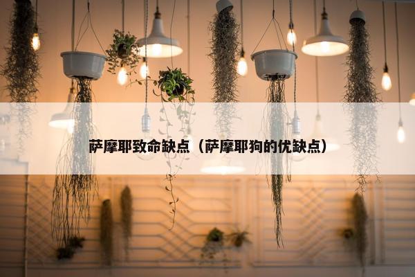 萨摩耶致命缺点（萨摩耶狗的优缺点）