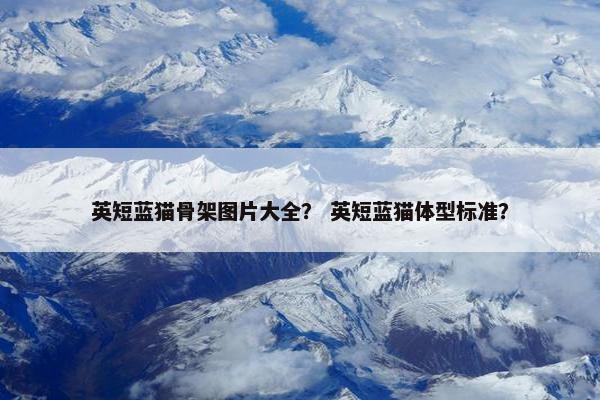 英短蓝猫骨架图片大全？ 英短蓝猫体型标准？