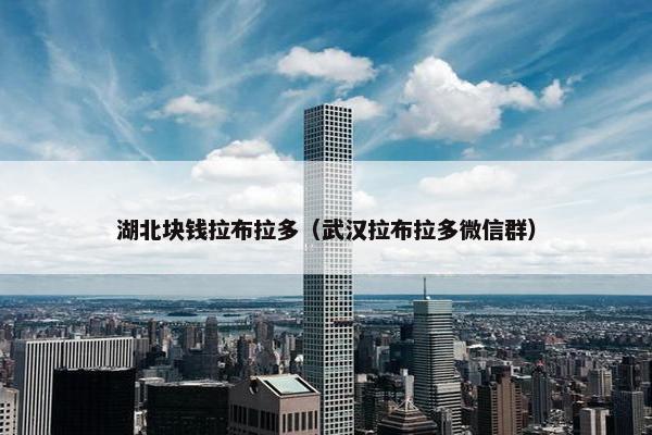 湖北块钱拉布拉多（武汉拉布拉多微信群）