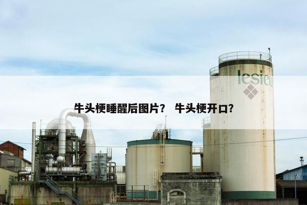 牛头梗睡醒后图片？ 牛头梗开口？