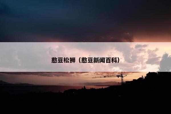 憨豆松狮（憨豆新闻百科）