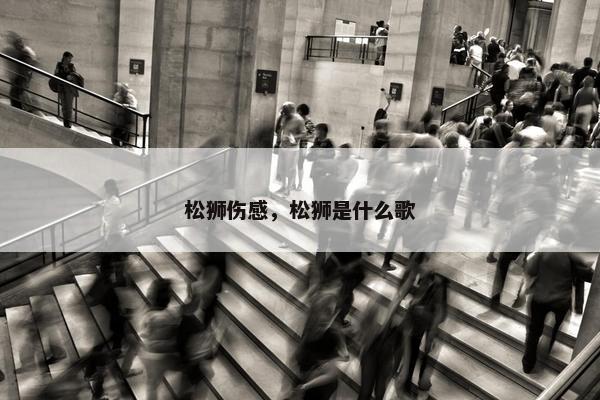 松狮伤感，松狮是什么歌