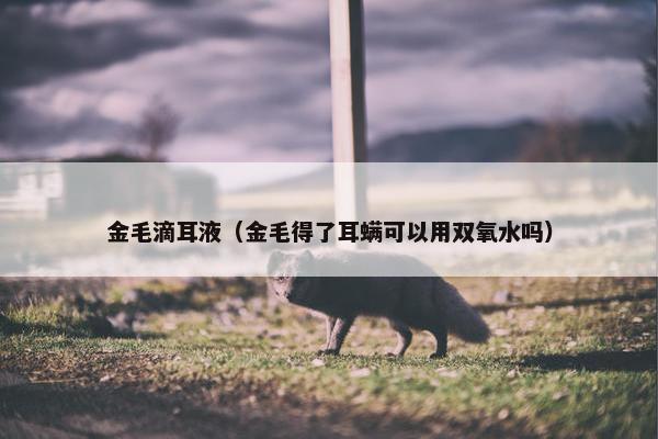 金毛滴耳液（金毛得了耳螨可以用双氧水吗）