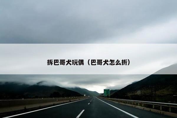 拆巴哥犬玩偶（巴哥犬怎么折）