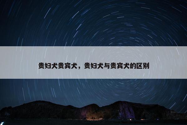 贵妇犬贵宾犬，贵妇犬与贵宾犬的区别