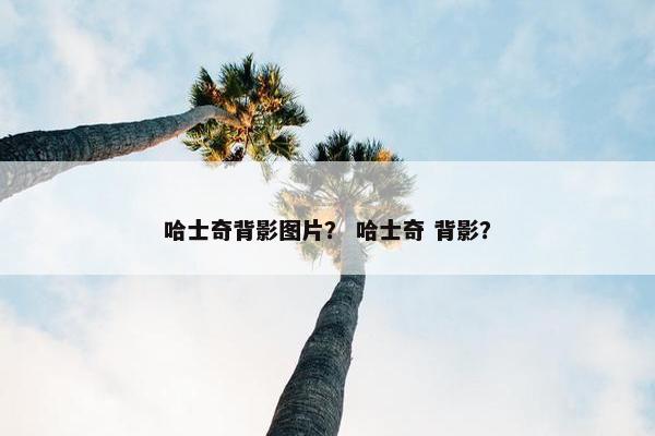 哈士奇背影图片？ 哈士奇 背影？