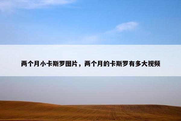 两个月小卡斯罗图片，两个月的卡斯罗有多大视频