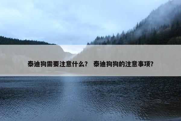 泰迪狗需要注意什么？ 泰迪狗狗的注意事项？