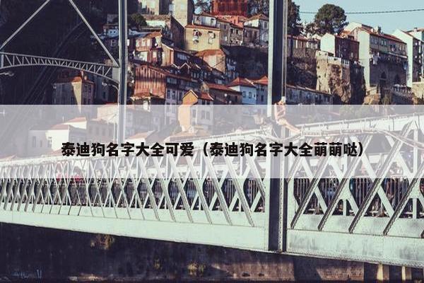 泰迪狗名字大全可爱（泰迪狗名字大全萌萌哒）