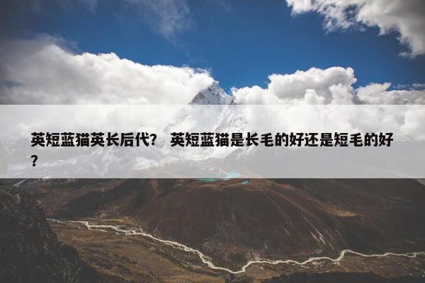 英短蓝猫英长后代？ 英短蓝猫是长毛的好还是短毛的好？
