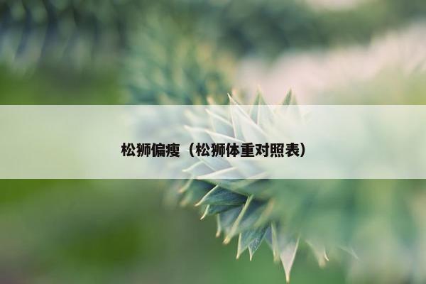 松狮偏瘦（松狮体重对照表）