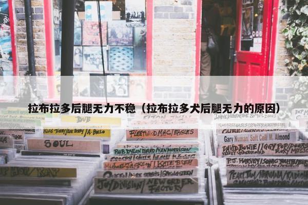 拉布拉多后腿无力不稳（拉布拉多犬后腿无力的原因）